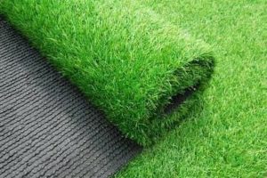 Biaya Rata-rata Pemasangan Wallpaper di Area Banyuwangi: Pertimbangan dan Informasi Penting