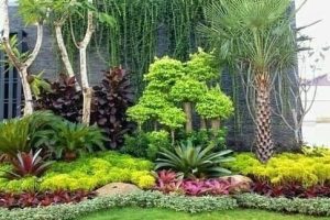 Tukangbanyuwangi.com : Solusi Terbaik Pembangunan Taman Impian Anda